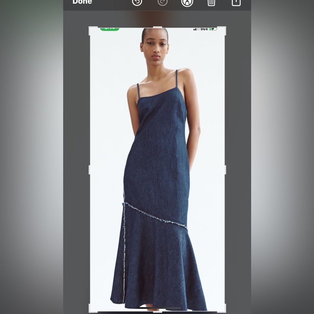 Zara Jean Dress: DENIM MIDI DRESS